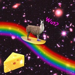 I Went To Alabama Mounted On a Llama