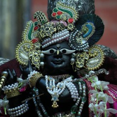 Evening Arati at Radha Raman temple , Vrindavana 07