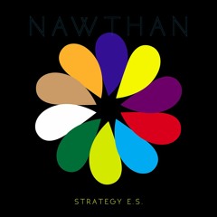 Strategy E.S. "Nawthan" (2016)