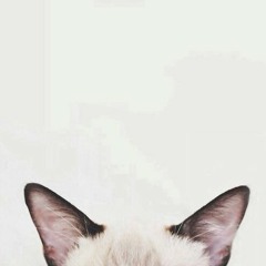 Cat power - sea of love (cover)