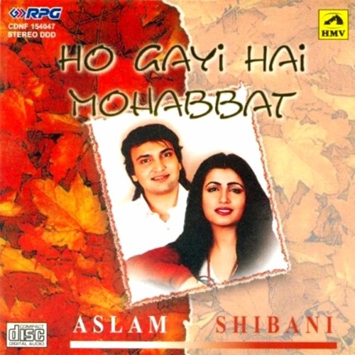 Ho Gayi Hai Mohabbat