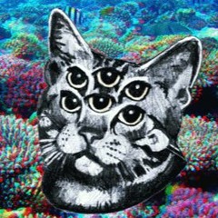 Mind The Cat