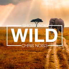 Showback X Chris Nois3 - Wild (Original Mix)