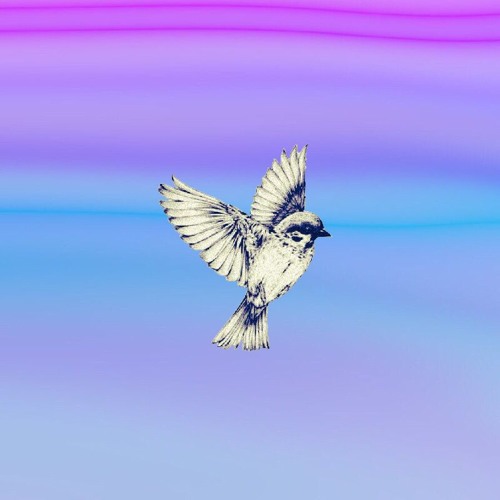 Paths to Divinity by Joseph DiCristofano Paths to Divinity by Joseph DiCristofano