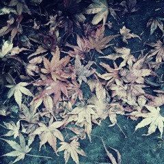 Autumn Leaves - Jamey Aebersold & iwamizu