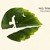 Artwork for Ehud Banai - Canaanite Blues