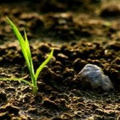 First Chapter 2016 - Vinyl Set mixed by S&ro