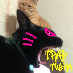 Trap/Twerk