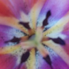 Praeditos,,,KONOKUNOK and deep man,,,,,