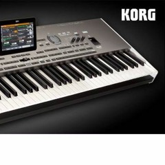 KORG "Pa4X MUSIKANT" Style DEMO