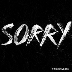 Justin Bieber - Sorry (Nasa Woods Cover)