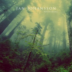 Why Do I Do This To Myself