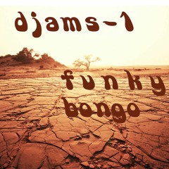 Funky Bongo