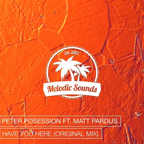 Peter Posession Ft. Matt Pardus - Have You Here (Original Mix)[Exclusive Premiere][Free Download]
