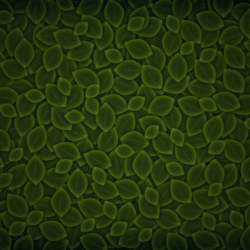 Copilul De Aur Si Lucian Seres - Femeie Wow