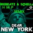 Dear New York (THMP Remix)