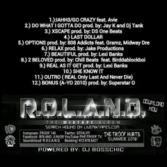 Do What I Gotta Do - HounD