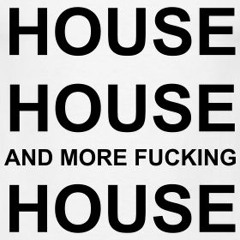 Vinyl House Mix 2006 by Roman Lindau