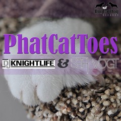 DJKnightlife & SethVogt - PhatCatToes (Original Mix) DEDR - 047 Preview, OUT NOW On Beatport