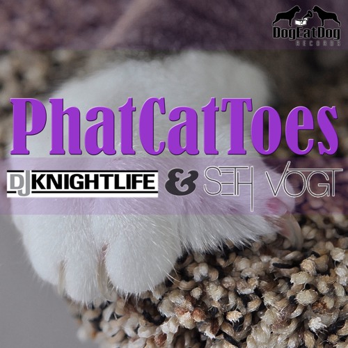 DJKnightlife & SethVogt - PhatCatToes (Original Mix) DEDR - 047 Preview, OUT NOW On Beatport
