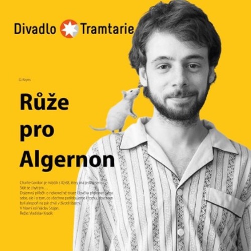 Stream Růže pro Algernon - Theme #1 by Lukas Marecek | Listen online ...