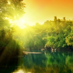 [COVER] Emerson, Lake and Palmer - From The Beginning (feat. Zargos & YannB54)