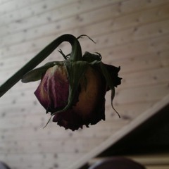 كأنى شئ كان