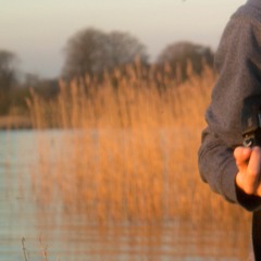 Drumstep>DnB>Bass House>Dnb