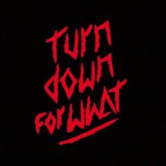 DJ Snake Lil Jon - Turn Down for What (Dj GATE Mashup)