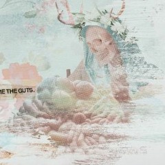 Hunting The Hunter Gatherer...