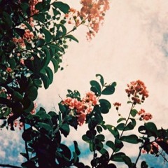Honest (Prod. funeral.)