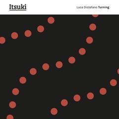 Luca Distefano - Turning - Dj Fiore "Confused"remix