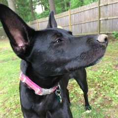 All That's Left To Borrow