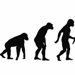 Evolución