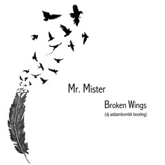 Mr Mister - Broken Wings (dj addambombb bootleg)
