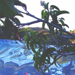 Misunderstood [Prod. Flight Mike]