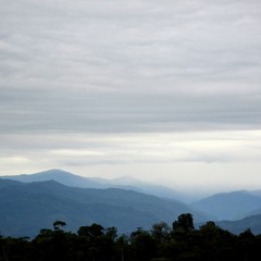 Costa Rica - forest sounds Talamanca