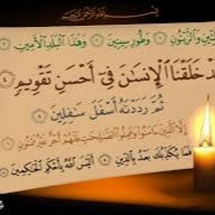 سورة التين للشيخ أيمن سويد