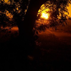 Undogmatic - Alvorada