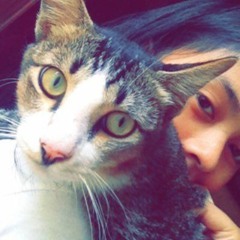 Imagination  (cover)