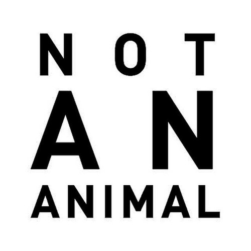 Clandestino - Guest Mix For Not An Animal