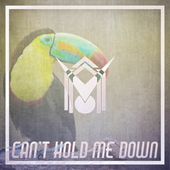 LVFH 001: Tucker - Can't Hold Me Down (Original Mix) [Free Download]