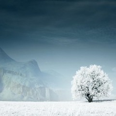 Winter 2016