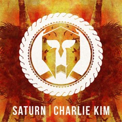 Saturn - Play With Fire ft. Charlie Kim