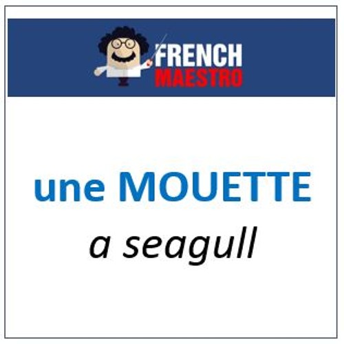 Stream How to say "seagull" in French une mouette by French Maestro