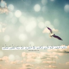 سورة فاطر - ناصر القطامي