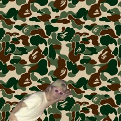 PROD [J.WAR] AND [YUNG FRANZ] - ANOREXIC FISH 2