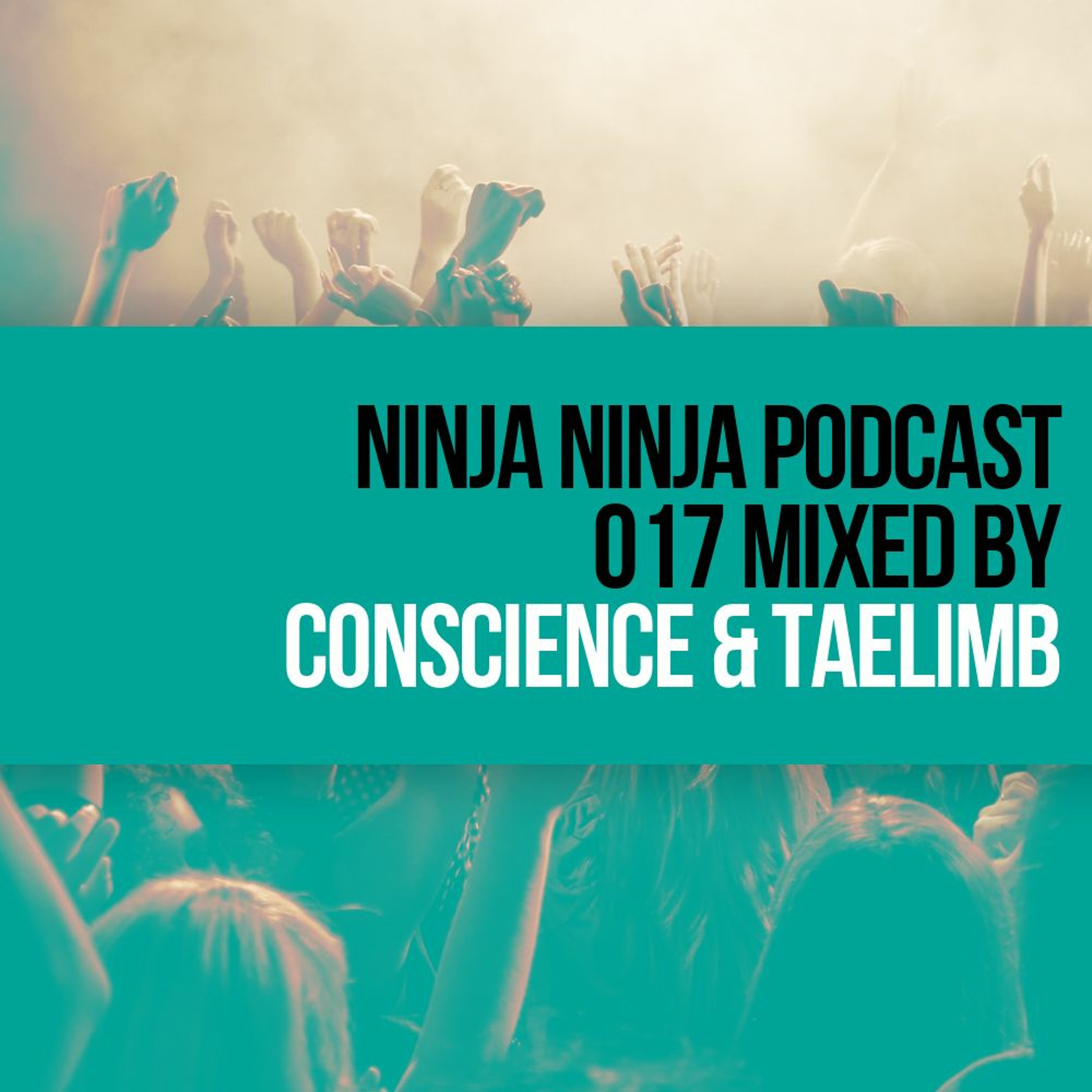 Ninja Ninja Drum & Bass