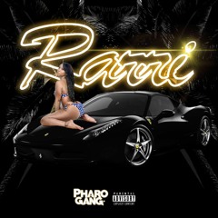 Rarri By. YP Trending/ Global