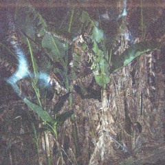 DUNGEON DESTROYAH - MANGOES